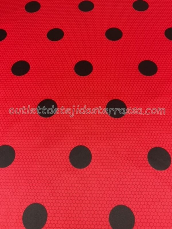 Punto Lady Bug - Imagen 3