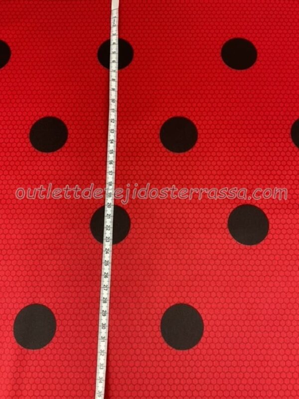 Punto Lady Bug - Imagen 4