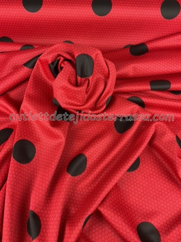 Punto Lady Bug - Imagen 2